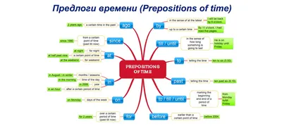 Расположение наречий в предложениях английского языка