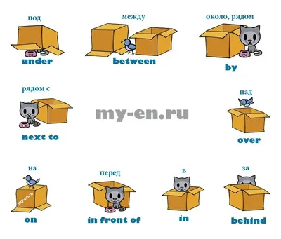 Предлоги в английском языке (Prepositions): типы и правила употребления|  Lingualeo Блог