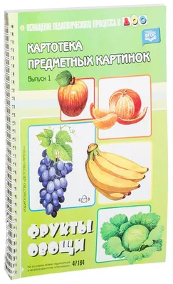 Книга Картотека предметных картинок. Выпуск 1. Фрукты. Овощи. 3-7  лет.(Новый формат) ФГОС. Наглядный дидактический материал. • Нищева Н.В. -  купить по цене 206 руб. в интернет-магазине  | ISBN  978-5-90717-995-0