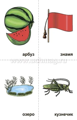 Предметные картинки для автоматизации звука [Р]. Блог Лого-Эксперт