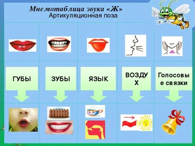 Конспект занятия по обучению грамоте в подготовительной группе по теме : "Звук  ж, буквы Ж,ж"