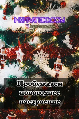 Новосибирцы начали создавать предновогоднее настроение для себя и своих  семей | | Infopro54 - Новости Новосибирска. Новости Сибири