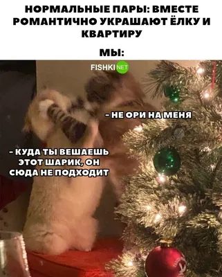 Новогодние открытки 2024 со стихами (красивые, трогательные, прикольные)  ❄🎄🎅 | Волшебный мир иллюстраций | Дзен