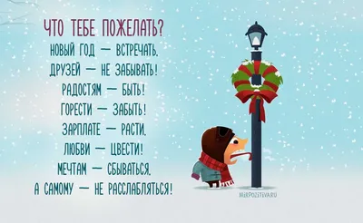 С наступающим НОВЫМ ГОДОМ Приколы про Новый год Предновогодние шутки ❄5❄ |  с Мариной Гусаковой | Дзен