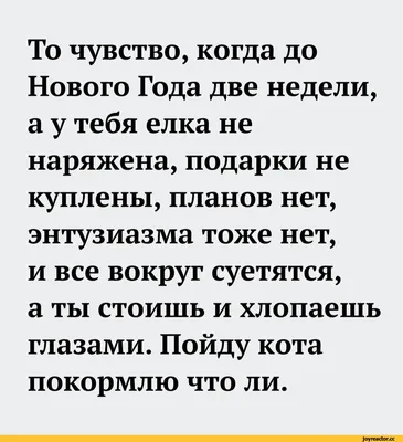 EXTRAGO Носки новогодние прикольные в банке подарок