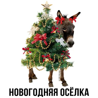 Новогодние открытки 2024 со стихами (красивые, трогательные, прикольные)  ❄🎄🎅 | Волшебный мир иллюстраций | Дзен