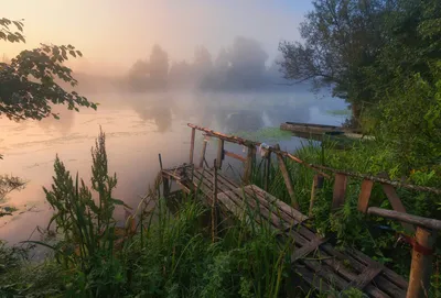 Доброе прекрасное утро с пожеланиями - 86 фото