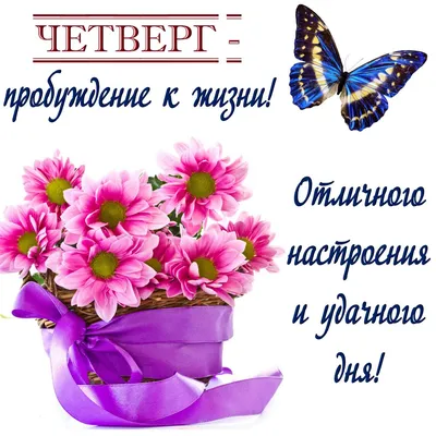 Картинки с пожеланием «Хорошего четверга!» | Утро четверга, Четверг,  Открытки