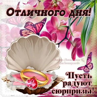 Красивые открытки "Доброго дня!" (2558 шт.)