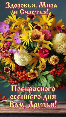 Картинки "Хорошего осеннего дня!" (100 шт.) | Осенние картинки, Осень,  Пожелания для открыток