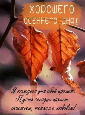 С Добрым Утром! Прекрасного Осеннего Денечка!🍂 Осенний ПРИВЕТИК!🍁 -  YouTube