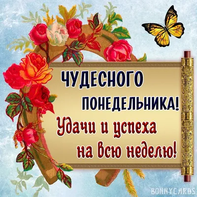 ПРИВЕТСТВИЯ и ПОЖЕЛАНИЯ, открытки на каждый день. опубликовал пост от 16  декабря 2019 в  | Фотострана | Пост №2073313818