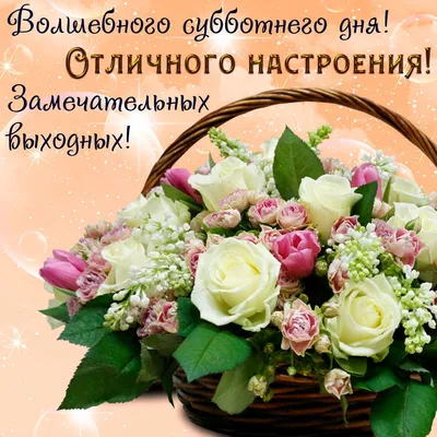 🌹☕⛄Прекрасного Субботнего дня и Отличных выходных! 🌲🎉🥞👍💥💖  | Выходные, Открытки, Здоровье