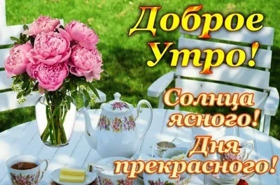 ДОБРОЕ УТРО, ДРУЗЬЯ! ВСЕМ ПРЕКРАСНОГО СУББОТНЕГО НАСТРОЕНИЯ! ☎ 8 (8202)  60-19-12 📍 ул.Металлургов, 2 #агами #череповец #женскиест… | Открытки,  Доброе утро, Надписи