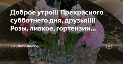 Прекрасного субботнего дня!