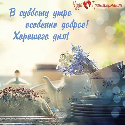 ДОБРОЕ УТРО, ДРУЗЬЯ! ВСЕМ ПРЕКРАСНОГО СУББОТНЕГО НАСТРОЕНИЯ! ☎ 8 (8202)  60-19-12 📍 ул.Металлургов, 2 #агами #череповец #женскиест… | Открытки,  Доброе утро, Надписи