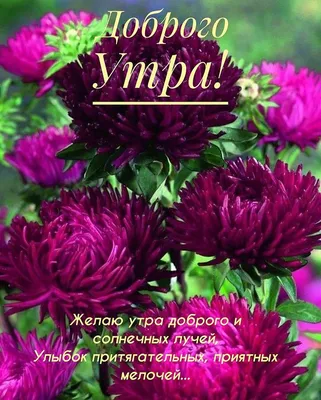 Гифки "Доброго утра субботы!" (52 шт.)