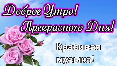 Kristina on X: "@Valen_tina777 Доброго прекрасного утра, Валечка!  Замечательного осеннего дня! /ilnigTtQpA" / X