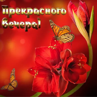 Картинки и открытки Хорошего вечера