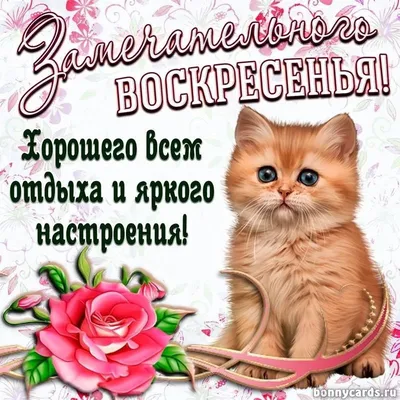 ВОСКРЕСЕНЬЕ! 💖🌸🦋💐🌺🌿🦋🌸 ПРЕКРАСНОГО ДНЯ! 💖 | Guten morgen, Schönes  wochenende, Wochentage