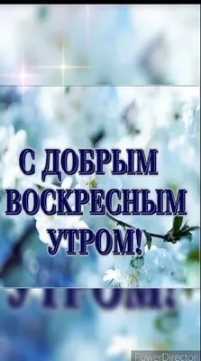 Доброе воскресное утро - фото и картинки: 66 штук