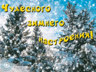 Необычные картинки "Хорошего зимнего дня!" скачать бесплатно (253 шт.)