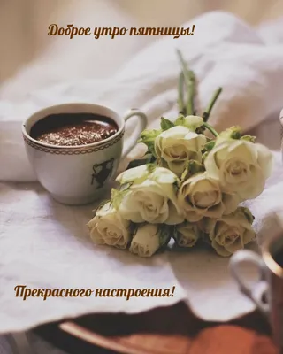 Доброго утра, прекрасной пятницы Вам 💕