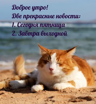 СЛОВА ЖИЗНИ - Замечательной пятницы! ☀ | Facebook