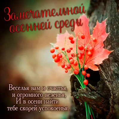 УДАЧНОЙ СРЕДЫ! 💖🌸🦋💐🌺🌿🦋🌸 ПРЕКРАСНОГО ДНЯ! 💖 | Шахрукх кхан,  Поздравительные открытки, Открытки ко дню рождения