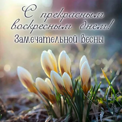 Желаем прекрасной весны». Как в госучреждениях Молдовы отметили Мэрцишор -  NewsMaker