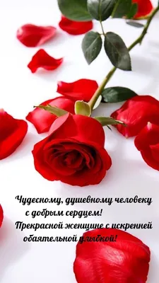 Для Самой Прекрасной Женщине! Эти  слова!💌🌹🌹🌹🌹🌹🌹🌹🌹🌹🌹🌹🌹🌹🌹🌹🌹🌹🌹🌹🌹🌹🌹🌹🌹🌹🌹🌹🌹🌹🌹🌹🌹🌹🌹🌹🌹🌹🌹🌹🌹🌹🌹🌹🌹🌹🌹🌹🌹🌹🌹🌹🌹🌹🌹🌹🌹🌹🌹🌹  - YouTube