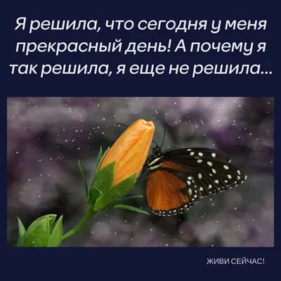 Деревянная открытка "Чудесный день, чтобы захватить мир" по цене 250 руб.