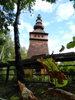 Книга Прекрасный мир, где же ты . Автор Салли Руни. Издательство Синдбад  978-5-00131-462-2