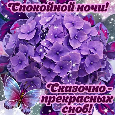 Необычные открытки "Спокойной ночи!" (333 шт.)