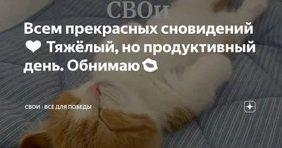 Всем прекрасных сновидений❤️ Тяжёлый, но продуктивный день. Обнимаю💋 |  СВОи - ВСЁ ДЛЯ ПОБЕДЫ | Дзен