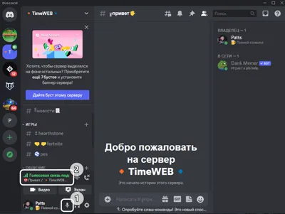 Как изменить свой голос в Discord