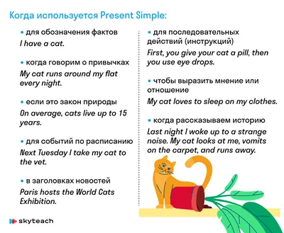 Present Simple: 5 правил, как объяснить его раз и навсегда