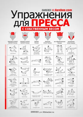 Качаем пресс правильно