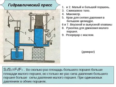 Кубики пресса без тренировок? Почему тренировать пресс бесполезно? | Худеем  правильно | Дзен