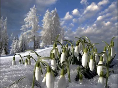 Приближение весны.. Фотограф Сергей Буторин