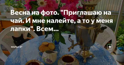 Весна на фото. "Приглашаю на чай. И мне налейте, а то у меня лапки". Всем…  | Марыся и Ко* | Дзен