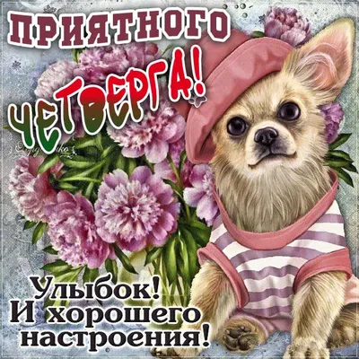 С добрым утром Четверга! | Messages, Greetings, Greeting cards