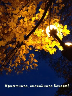 Открытки прекрасного осеннего вечера - 87 фото