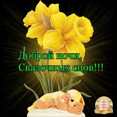 Хорошего вечера !Добрых снов!