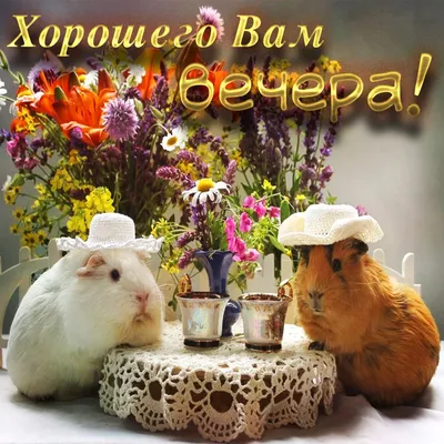 Хорошего вечера. Желаю уютной атмосферы и уютного отдыха 💕💕💕 - YouTube