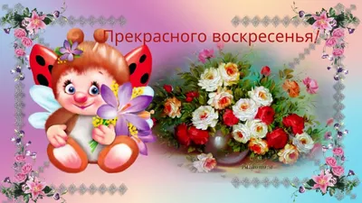 Прекрасного воскресенья! Замечательного воскресного дня! Музыкальная  открытка. - YouTube