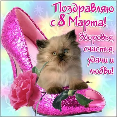 Прикольная оригинальная открытка на 8 марта с котёнком и розами - Скачайте  на 