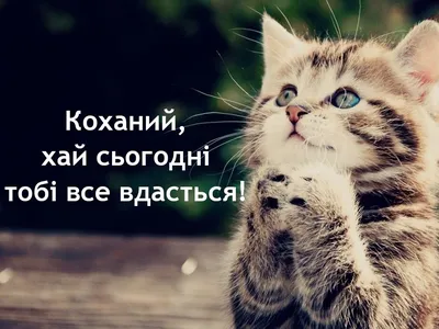 Листівки з добрим ранком понеділка — привітання в картинках з початком  тижня на вайбер - Телеграф