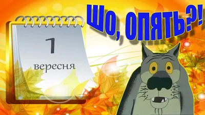 С Днем знаний! Прикольные картинки и веселые поздравления 1 сентября |  Курьер.Среда | Дзен