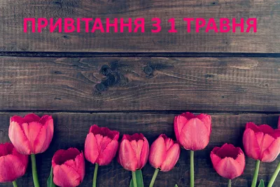 Картинки к 1 мая. Как отметить День весны и труда – Canva